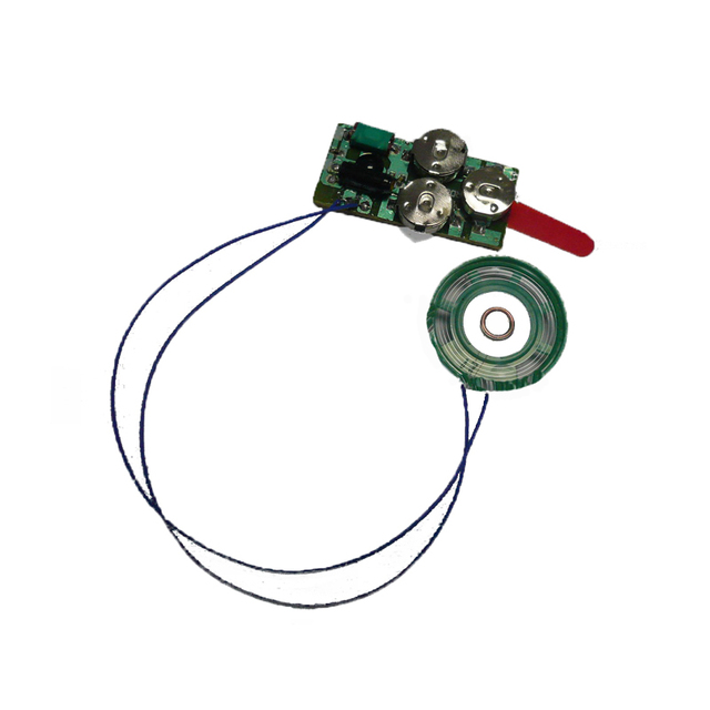 Mini Recordable Sound Module for Stuffed Animals