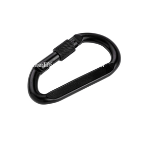 Gravure disponible <span class=keywords><strong>Mousqueton</strong></span> et <span class=keywords><strong>mousqueton</strong></span> d'escalade - Product Image 1