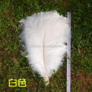 Cheap sale colorful 45-50cm thin rod white Ostrich Feathers for wedding party decoration