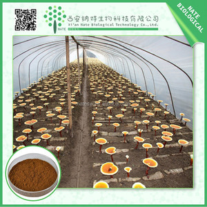 <span class=keywords><strong>Hongo</strong></span> <span class=keywords><strong>reishi</strong></span> extracto Natural con el mejor precio - Product Image 1