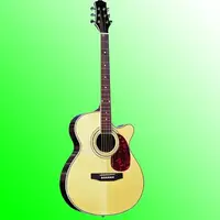 Đàn Guitar Bass SNAG014 Takamine 41"
