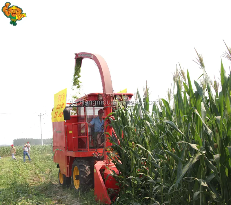 Çin tedarikçisi hasat makinesi için mısır sıcak satış mısır