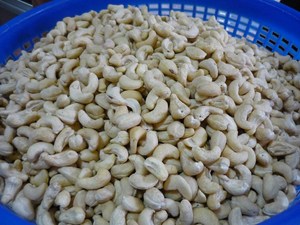 High Quality Hanfimex Brand Raw Cashew Nuts Big Sizes Grade 1 WW180/WW210 Vietnam Origin BRC ISO Certified Tracy14 Vacuum - Product Image 5