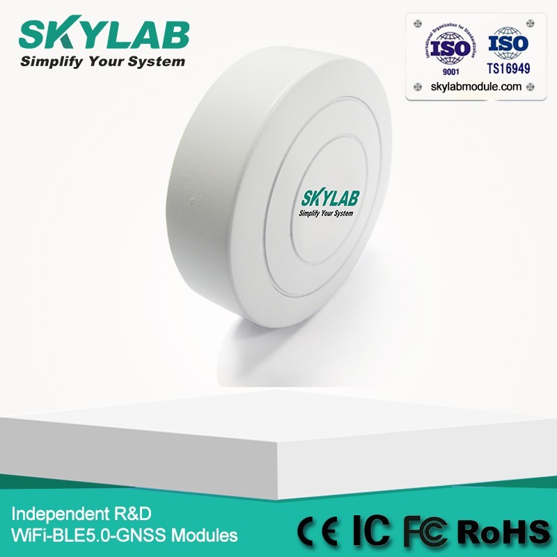 SKYLAB Faible Coût VG01 Programmable UUID/Grands/Mineur nRF51822 Petit Bluetooth Balise Récepteur