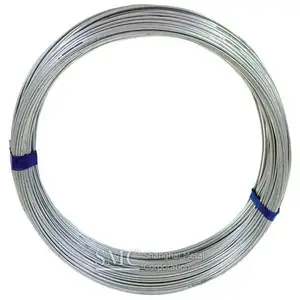 Galvanized Steel Wire for Fishing Net (0.19 -4.0mm)