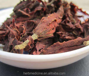 <span class=keywords><strong>Yu</strong></span> Lan <span class=keywords><strong>Hua</strong></span>, Té Chino, Flores Secas Naturales de Magnolia Denudata Enteras - Product Image 3