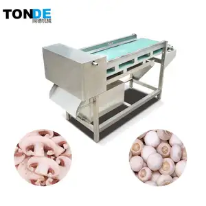 Champignon Équipement de Traitement/Trancheuse De Champignons Machine/Machine Tranche De Champignons