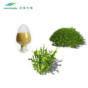 Натуральный Экстракт экклонии кавы фукоксантин 1% 5% HPLC - Product Image 1