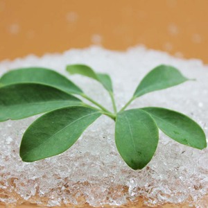 Produzione di Polvere di Idrogel Poliacrilato di Potassio Gel Vegetale Polimero Super Assorbente per Agricoltura - Product Image 1