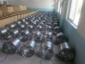 Quạt Lưu Thông Treo 24Inch 16Inch 20Inch 400/500/600Mm Cho Nhà Kính - Product Image 4