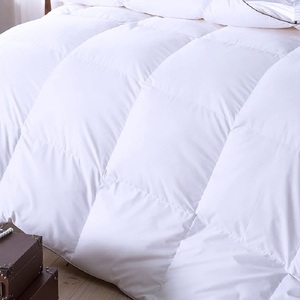 Hôtel chaud épais hiver couette housse de couette avec taie d'oreiller housse de couette literie - Product Image 3