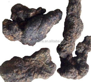 Fungo Naturale Essiccato Zhu <span class=keywords><strong>Ling</strong></span>, Polyporus Umbellatus Intero, Polipore Ombrello, Fungo a Forma di Braccio Come Alimento - Product Image 4