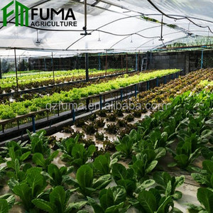 Eco-friendly commerciale aquaponics serra di plastica <span class=keywords><strong>per</strong></span> i pesci e pianta <span class=keywords><strong>crescere</strong></span> <span class=keywords><strong>insieme</strong></span> coltura fuori suolo - Product Image 3