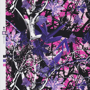 Camouflage PVA Film de transfert d'eau n ° MA740-2 Film <span class=keywords><strong>hydrographique</strong></span> pour <span class=keywords><strong>peinture</strong></span> <span class=keywords><strong>hydrographique</strong></span>, impression liquide, trempage - Product Image 2