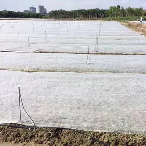 17gsm 3% Anti UV PP Spunbond Non Woven Fabric For Agriculture Cover , Weed Mat/Landscape Fabric, Weed Mat