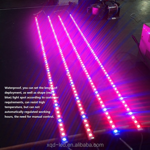 Shenzhen XQD poder más elevado 12 W Nova led crece luces para las plantas - Product Image 3