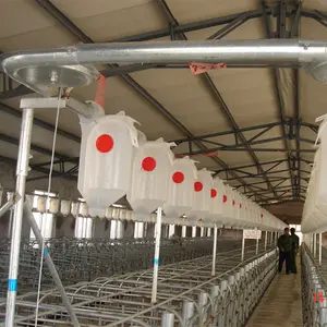 Automatic pig feeding system pig farm design