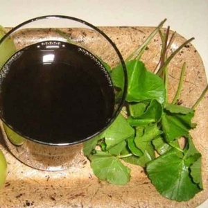 Janvi Herbs Vente en gros Huile de support Brahmi biologique de haute qualité 100% Cheveux naturels purs de qualité thérapeutique Utilisation emballage personnalisé - Product Image 1