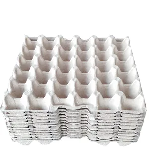 Small egg tray 만들기 기계