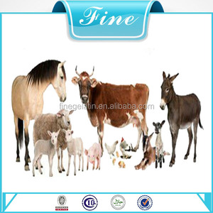 Precio bajo de polvo de proteína extraído de hueso <span class=keywords><strong>animal</strong></span> concentrado de aves de corral alimenta - Product Image 3