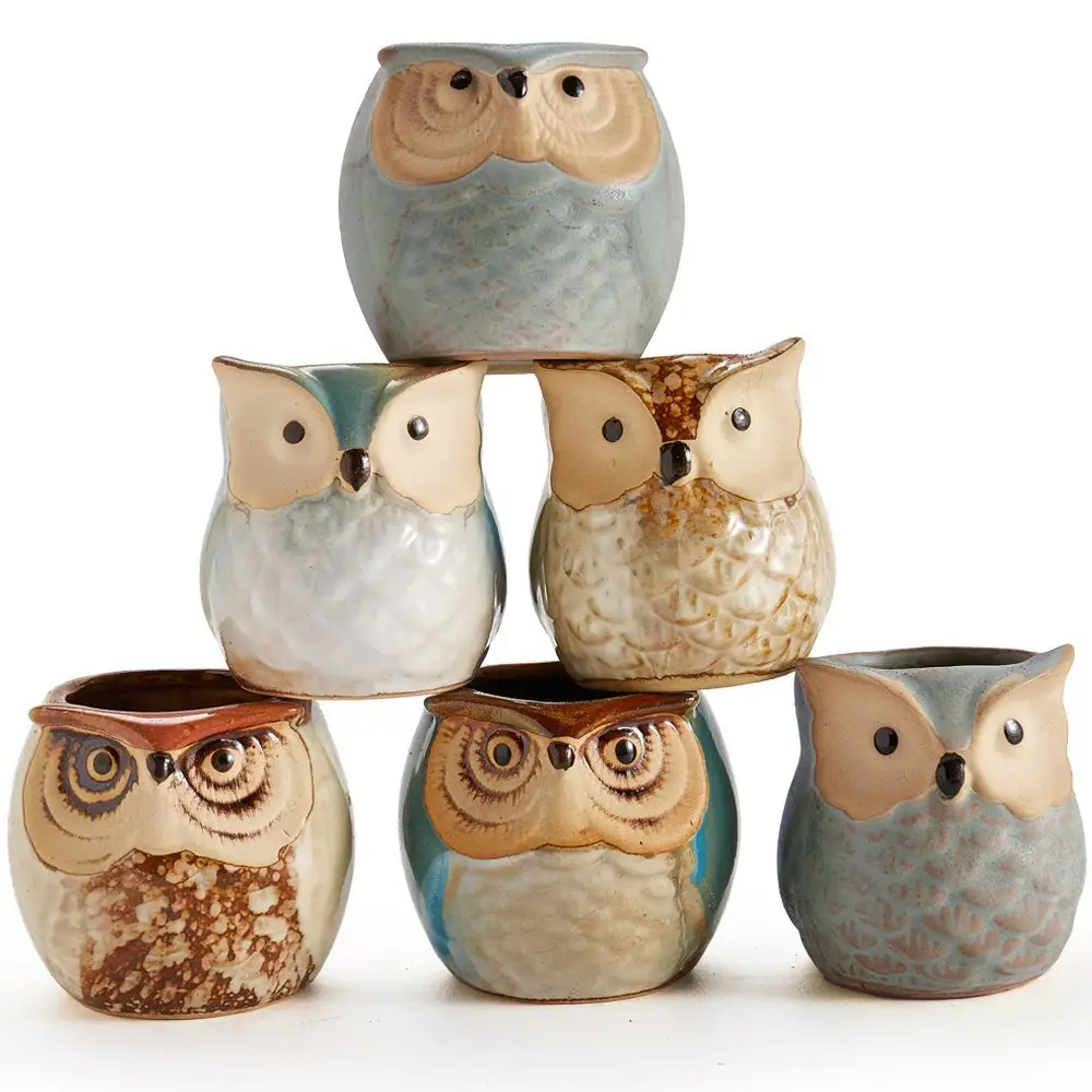 Owl Pot Ceramic Bonsai Pots Cactus Flower PotとA Hole Perfect Gift Idea 6でSet