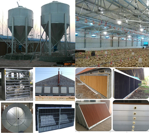 Construcción <span class=keywords><strong>de</strong></span> la estructura <span class=keywords><strong>de</strong></span> acero ligero para la granja <span class=keywords><strong>de</strong></span> pollo gallinero con equipos - Product Image 6