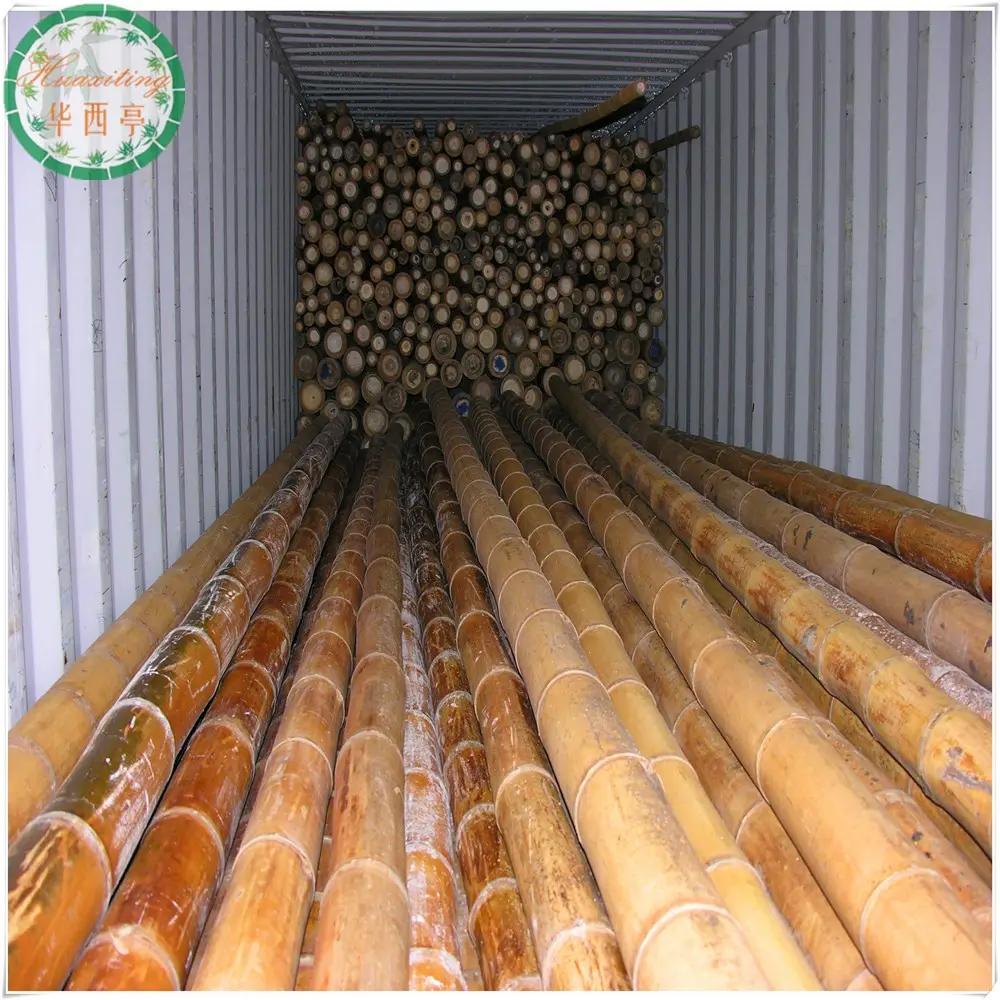 large bamboo sticks poles