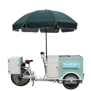 TUNE-bicicleta eléctrica personalizada con nevera, bicicleta de carga con helado a la venta - Product Image 5