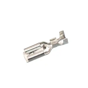 187 loạt <span class=keywords><strong>Faston</strong></span> thiết bị đầu cuối kết nối dây điện DJ622-J4.8BBrass với kẽm coatingappropriate cho các ứng dụng hệ thống dây điện. - Product Image 1