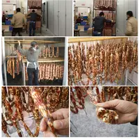 Déshydrateur industriel entièrement automatique de viande ou d'aliments, Certification CE, pour le séchage de la viande