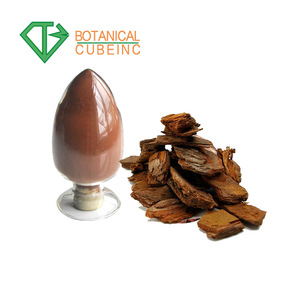 Thực vật Tự Nhiên <span class=keywords><strong>Pine</strong></span> <span class=keywords><strong>Bark</strong></span> Số Lượng Lớn <span class=keywords><strong>Proanthocyanidins</strong></span> <span class=keywords><strong>95</strong></span>% OPC Pháp <span class=keywords><strong>Pine</strong></span> <span class=keywords><strong>Bark</strong></span> Extract Bột - Product Image 3