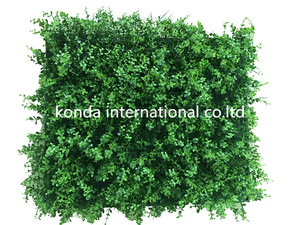 Comercio al por mayor de todo tipo de pared verde planta artificial sistema de <span class=keywords><strong>la</strong></span> pared verde pared vertical verde en china - Product Image 5