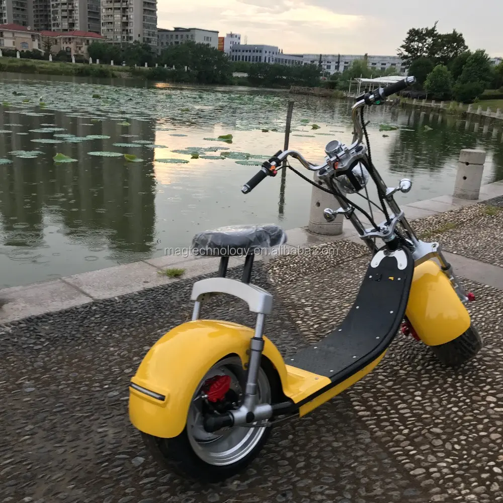 New model one year warranty small wheel unfolding electric bicycle 1500w/2000w two wheel citycoco electric scooter