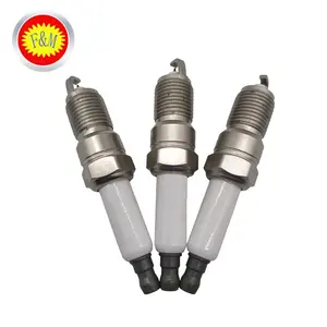 Spark Plug China OEM 8#41-110 12621258 Ignition Iridium Spark Plug Price