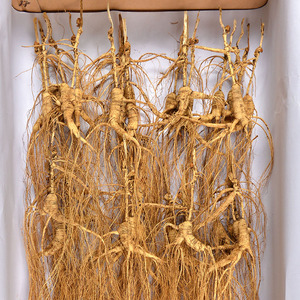 Polvo y cápsulas de ginseng seco Sabor dulce y amargo para adultos - Product Image 4