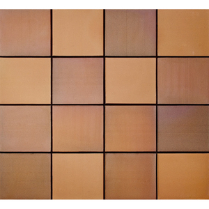Terra de rialto mexicano de terracota azulejos de la ducha - Product Image 1