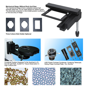 OPTO-EDU A14.0202 400x Trinocular 거꾸로 한 단계 대조 생물학 현미경 - Product Image 2