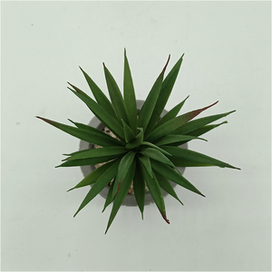 Petits <span class=keywords><strong>Cactus</strong></span> et Succulentes Artificiels en Plastique, Adorables Plantes Succulentes en Pot de Ciment, Durables et Réalistes - Product Image 2