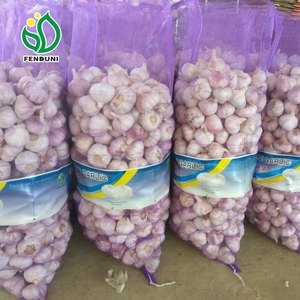 来自中国的散装/普通白蒜新鲜大蒜供应商 - Product Image 4