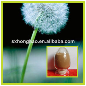 Planta de extracto flavonas 3% de diente de león raíz extracto en polvo - Product Image 1