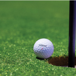 Extratos de Plantas Semente de Chá 30% Saponina de Chá Líquida Usada em Campos de Golfe para Eliminar Insetos - Product Image 4