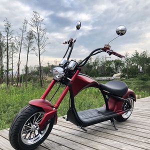 <span class=keywords><strong>Scooter</strong></span> CEE e-marca venda quente melhor design igual ao original nzita X12 mi bicicleta elétrica para a UE e mercado DOS EUA e Europa armazém - Product Image 3