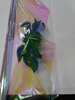 Film transparent en cellophane dichroïque royal irisé de 18 microns pour matériaux d'emballage et papier d'emballage