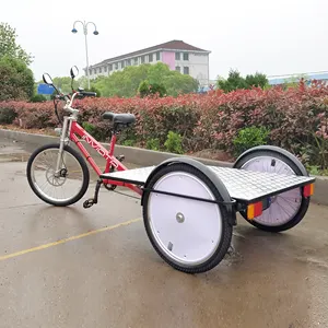 ESTER Elektrische Flatbed Trike voor Lading met Nieuwe Lijnen, 3 wiel fiets, levering driewieler