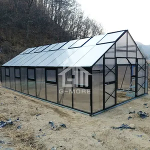G-MORE invernadero comercial de policarbonato, 5X10 metros, 10MM