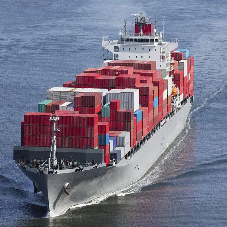 Logística de carga de mar servicio de carga de envío de China a Bosnia