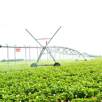 Système d'irrigation à pivot central 2026 2022 avec équipement d'irrigation circulaire pour ferme à vendre