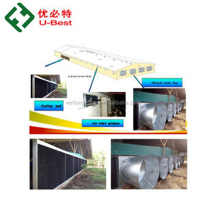 Equipo <span class=keywords><strong>de</strong></span> Control Climático <span class=keywords><strong>de</strong></span> Diseño Moderno para Gallineros, Comedero/Bebedero/Ventilador/Panel <span class=keywords><strong>de</strong></span> Enfriamiento/Calefactor para Gallineros/Establos/Jaulas - Product Image 6