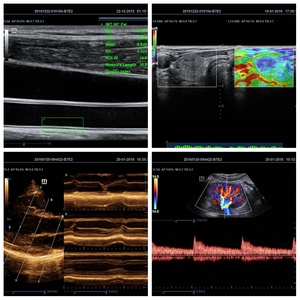 Mandray DC40 CE ISO Mesin <span class=keywords><strong>Ultrasound</strong></span> Doppler Warna 4d 3d Canggih Luar Biasa - Product Image 6