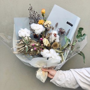 SZ04132 — <span class=keywords><strong>fleurs</strong></span> en <span class=keywords><strong>coton</strong></span> <span class=keywords><strong>séchées</strong></span> naturellement naturelles, 10 Bouquets de branches de <span class=keywords><strong>coton</strong></span> <span class=keywords><strong>séchées</strong></span>, vente en gros - Product Image 2